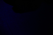Img 9170 (web)