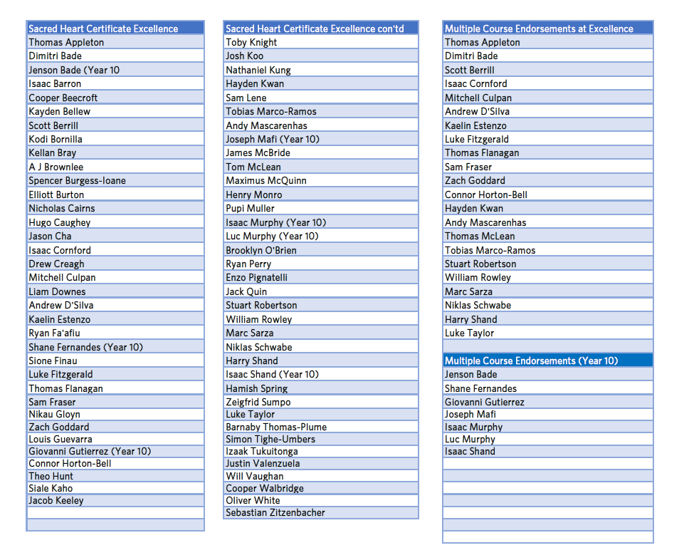 Year 11 Excellence For Website