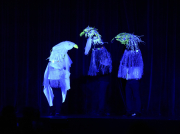 Bc Shc Matariki 27june 2026 Dsc09567