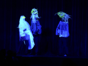 Bc Shc Matariki 27june 2026 Dsc09574